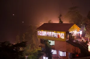 Lotus Leaf, McleodGanj