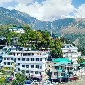 Freedom Palace, McleodGanj